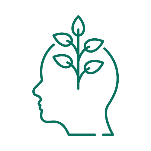 Ônexus formation développement personnel