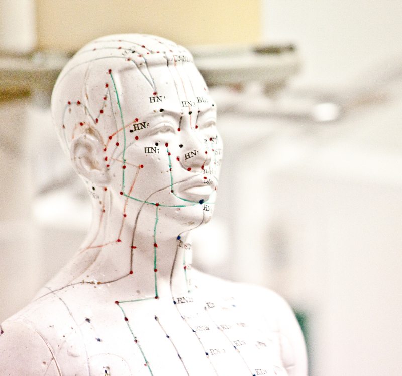 ônexus kinésiologie combinée formations