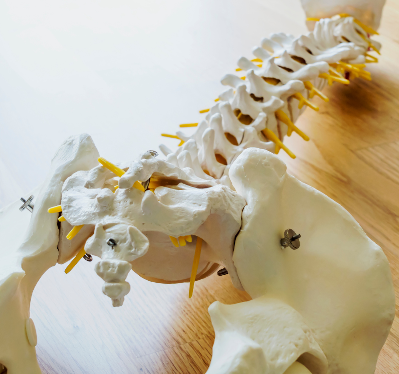 ônexus kinésiologie formations