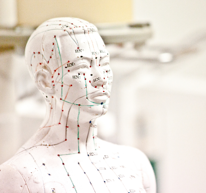 ônexus kinésiologie formations 