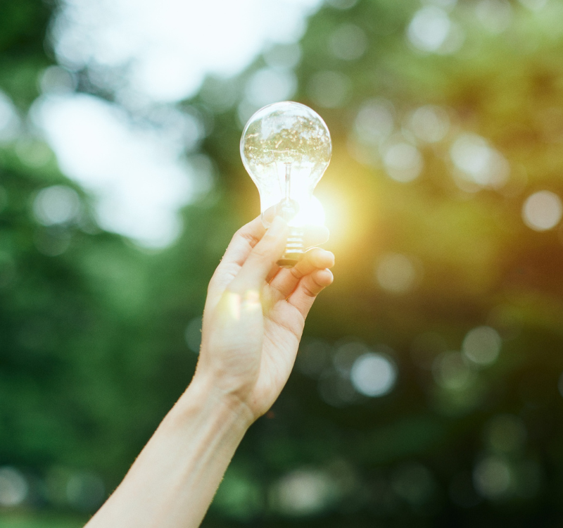 ônexus kinésiologie formations