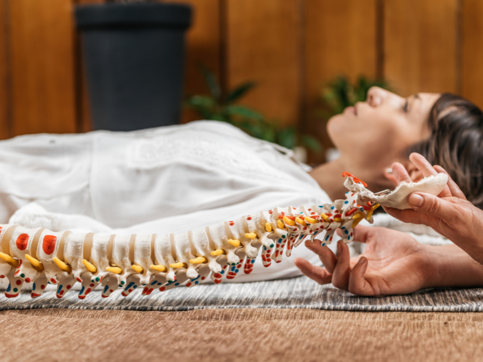 ônexus e-learning formations symbolique du corps 