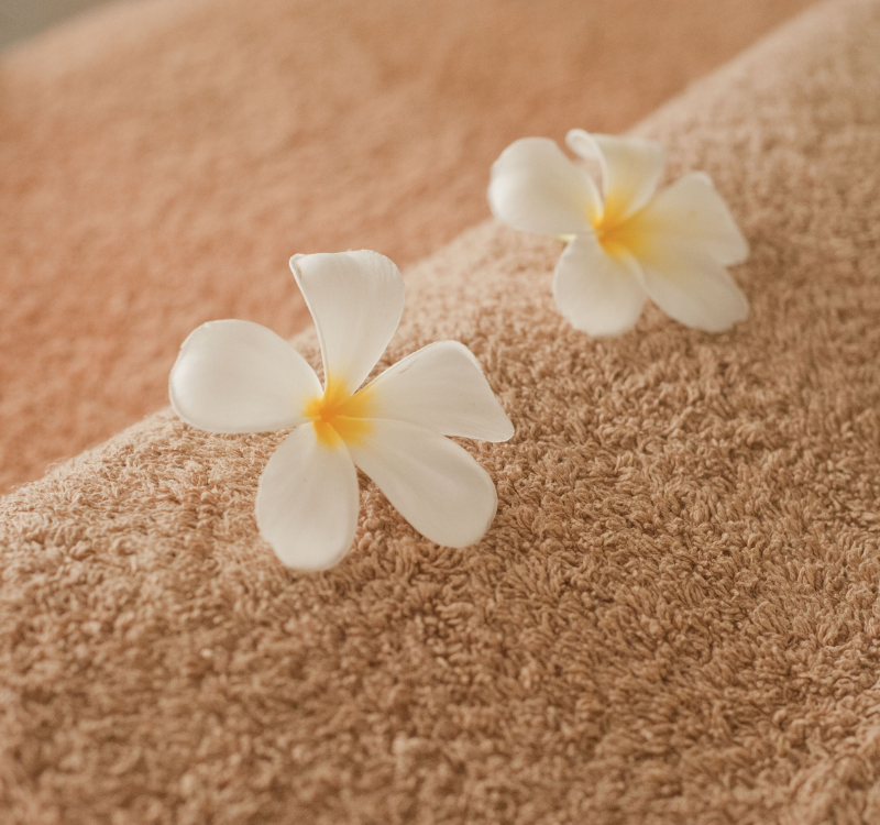 ônexus - réflexologies formations