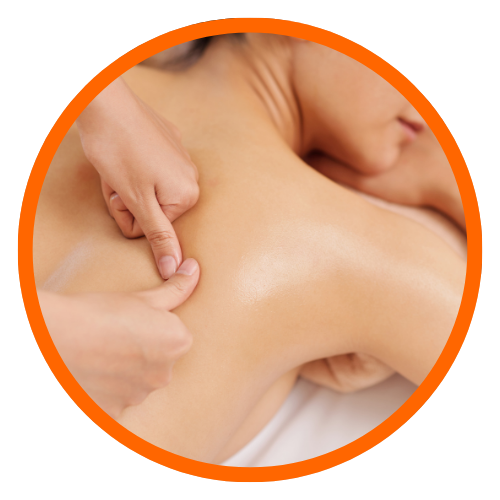 onexus formations e learning réflexologie dorsale dos tensions mieux être mtc point shu 