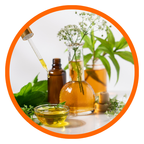 onexus formation elearning elixirs floraux essences de deva fleurs de bach mieux être vitalité