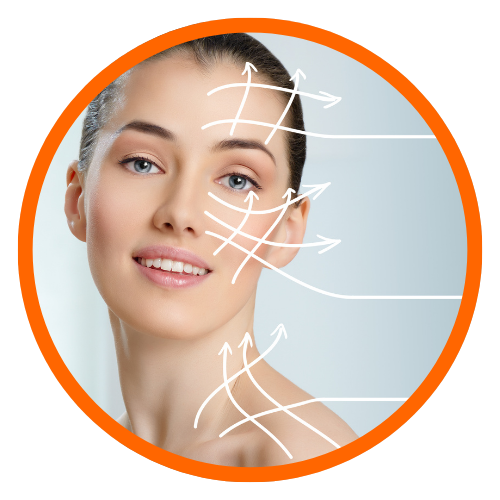 onexus formation e learning morpho psychologie du visage personnalité trait 