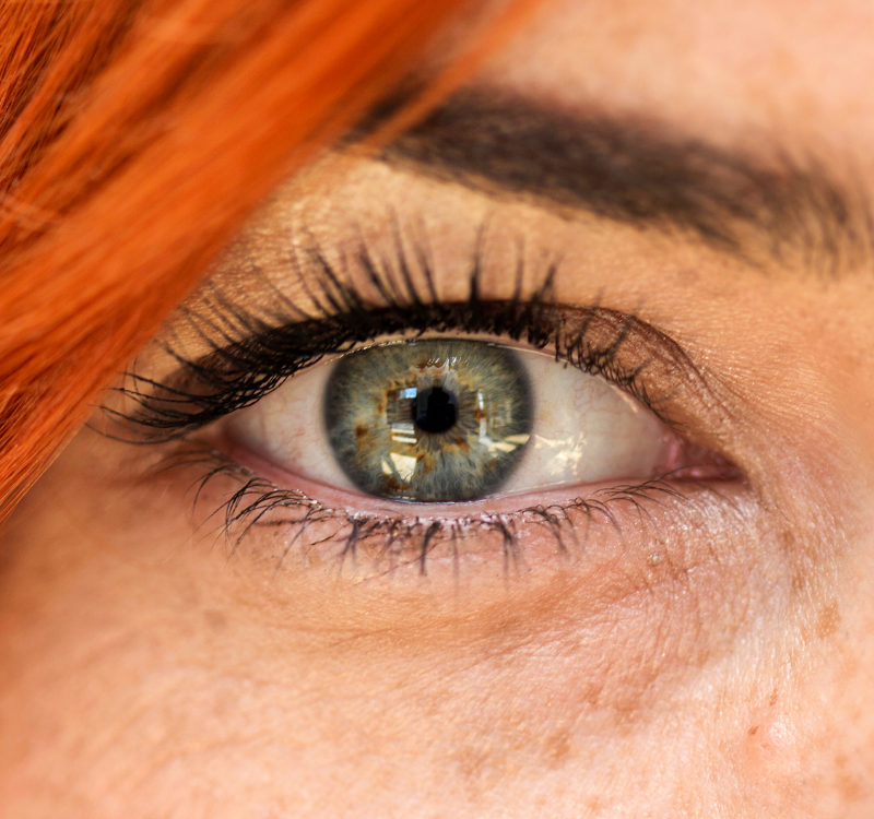 onexus formation iridologie oeil études besoins équilibre naturopathie potentiels vitalité